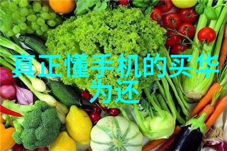 设计图解家居装修风格探索与实用指南