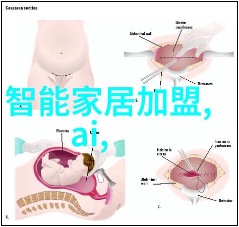 智慧之舟省科技厅的航向探索