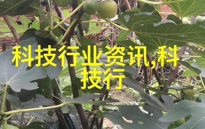 多孔砖的性能特点及其在建筑中的应用