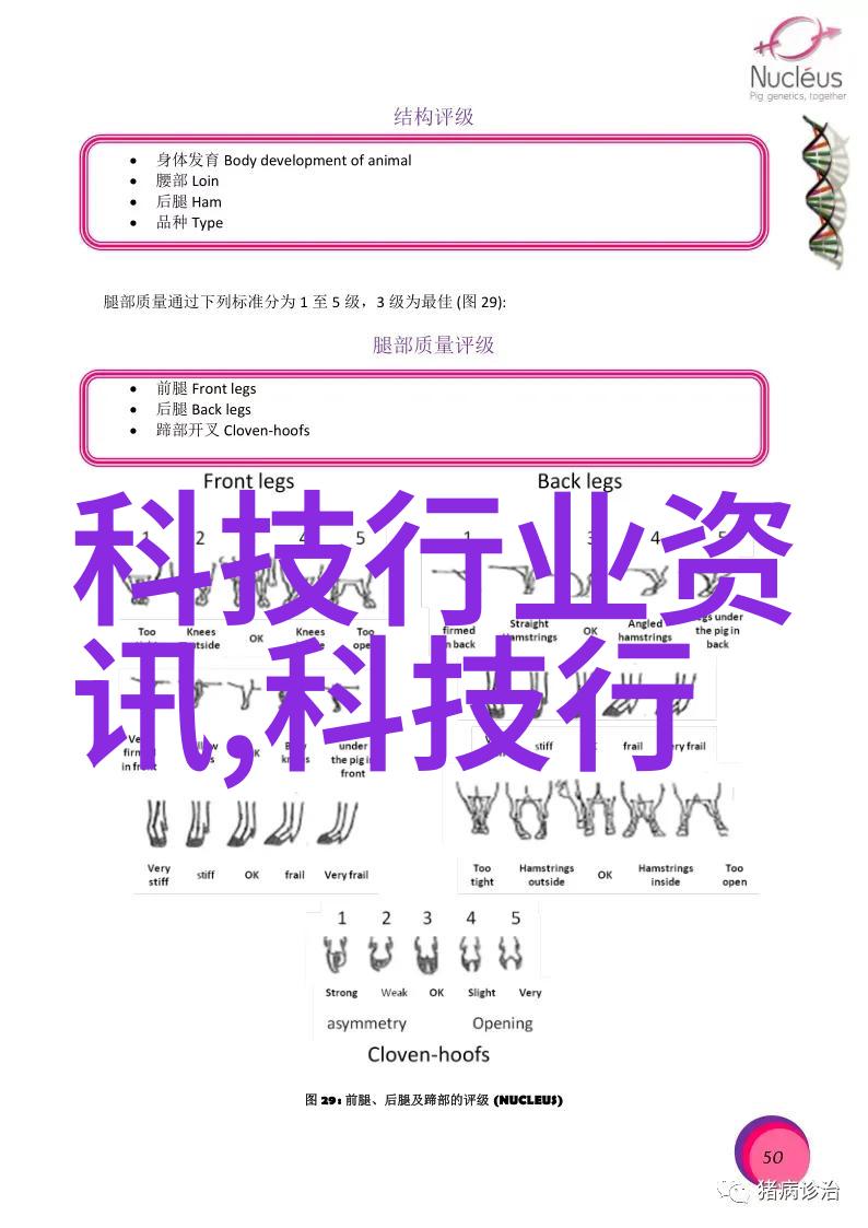 化工产品第三方检测机构在质量安全监管中的作用与挑战研究