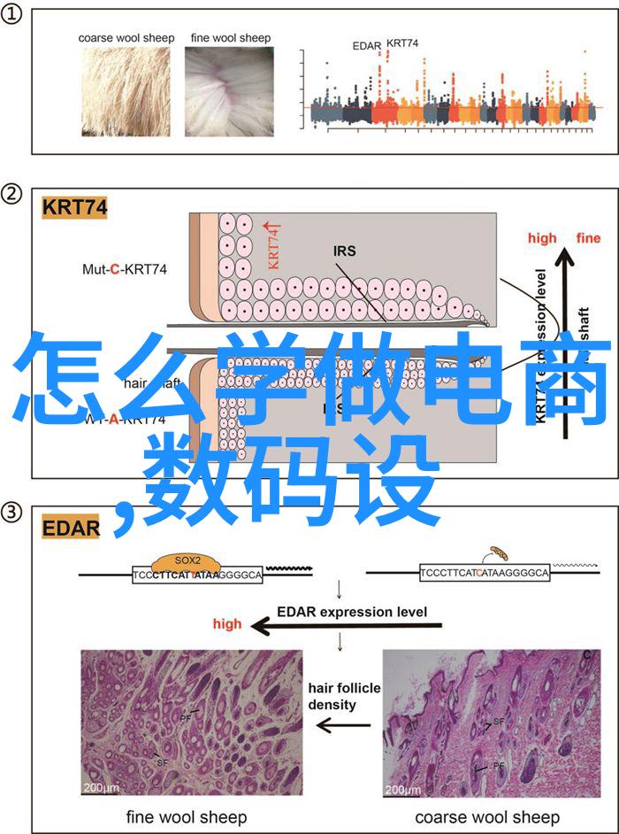 Android手机行业资讯谷歌最新更新亮点及对未来发展的影响分析