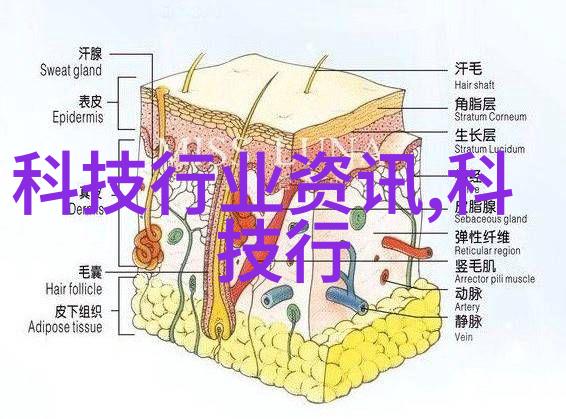 微波炉蛋糕制作技巧探索