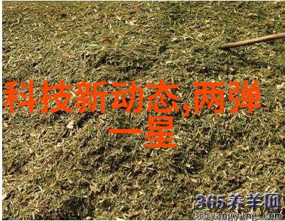 工业控制系统机箱与机柜设备配置指南