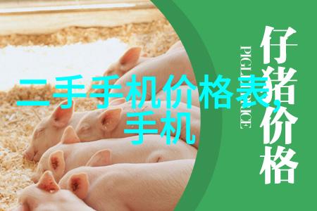 家庭局部改造装修 - 装点新颜家居局部改造的艺术与实用之道