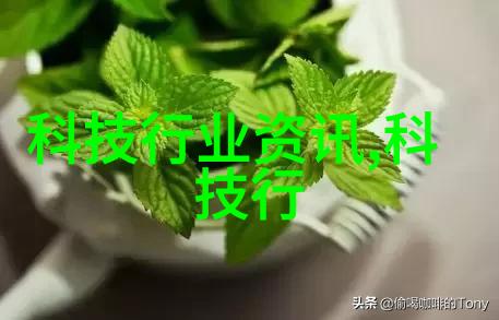 新闻摄影实用技巧如何捕捉有价值的瞬间