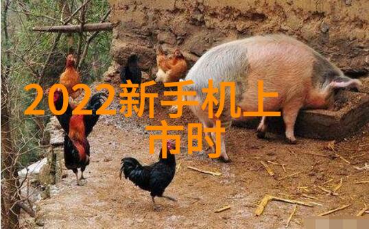 中国塑料网波纹填料的故事