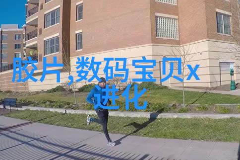 西南财经大学我在西南财经大学的日子总是忙碌而充实