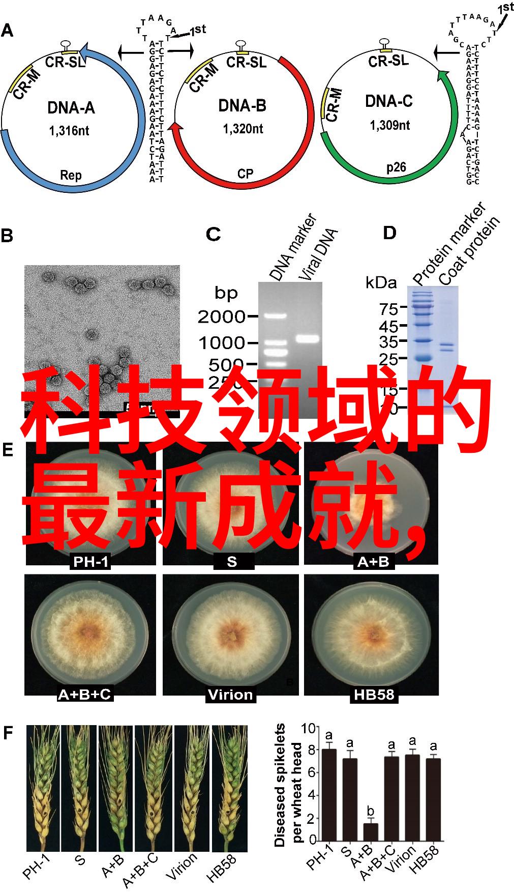 乌鲁木齐装修公司我在这座古城寻找的拂晓之光装饰设计团队