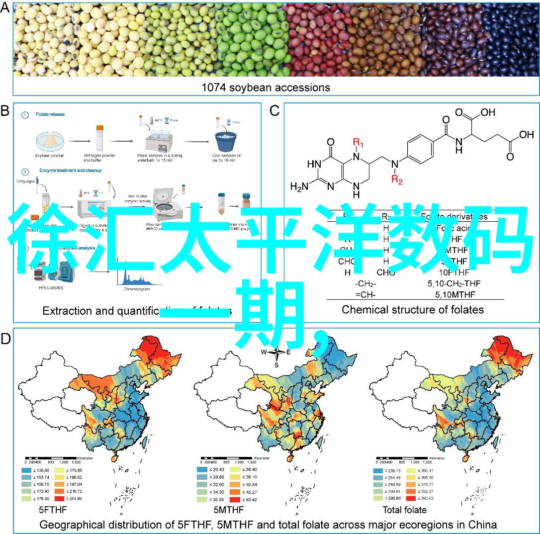 数字世界探索解锁科技未来的秘密之门