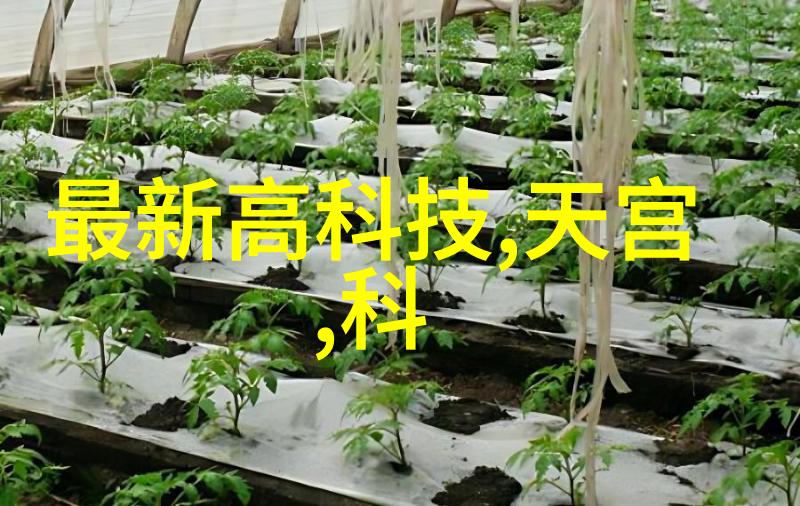 蒸汽发生器锅炉技术的核心与动力