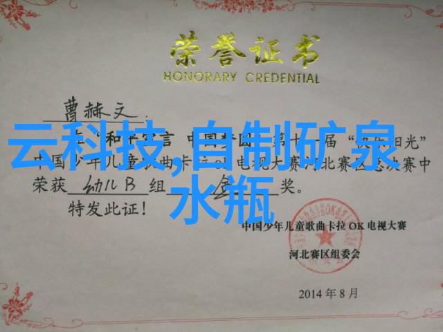 尼康D500捕捉瞬间的专业数字单反相机