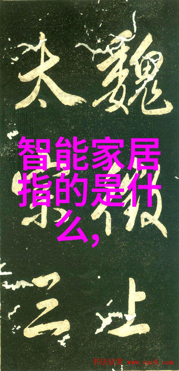 数字信息的概念与技术进步相伴数码时代的核心内容