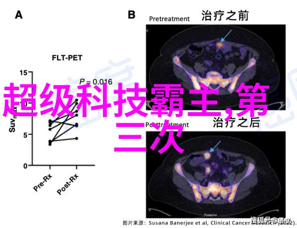 白平衡漂移摄影中微妙的色彩之舞