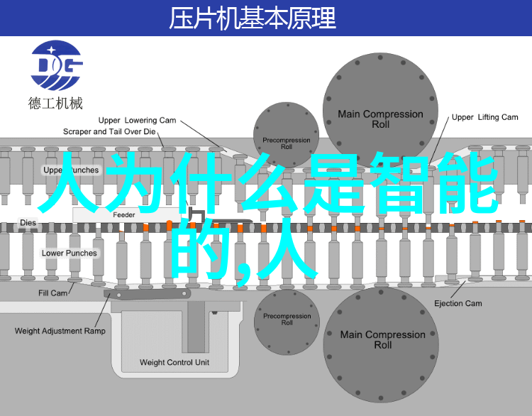 精密仪器校准与检测服务提供商