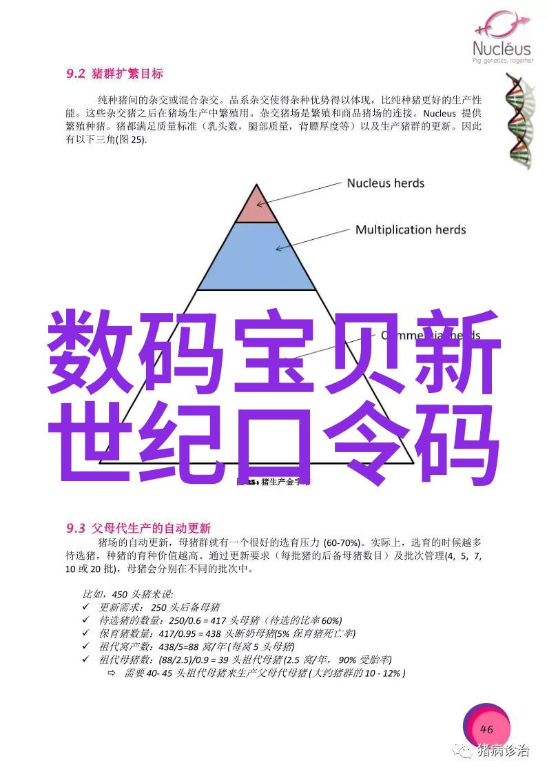 摄像奥秘探索揭秘摄影基础知识