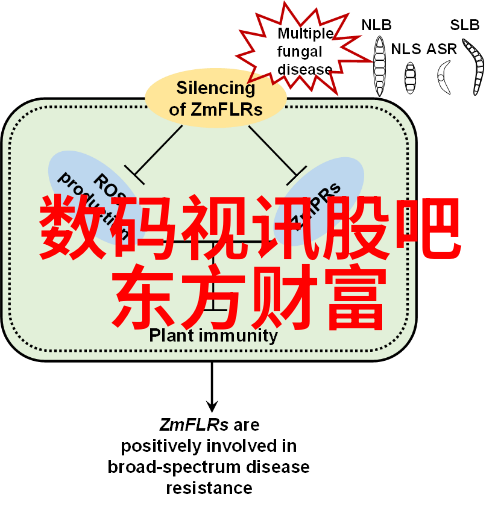 镜头光晕光影魅力与视觉奇迹