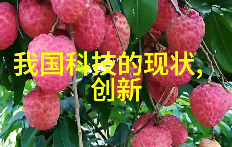 智能家居的魅力揭秘智能化设备的全方位应用