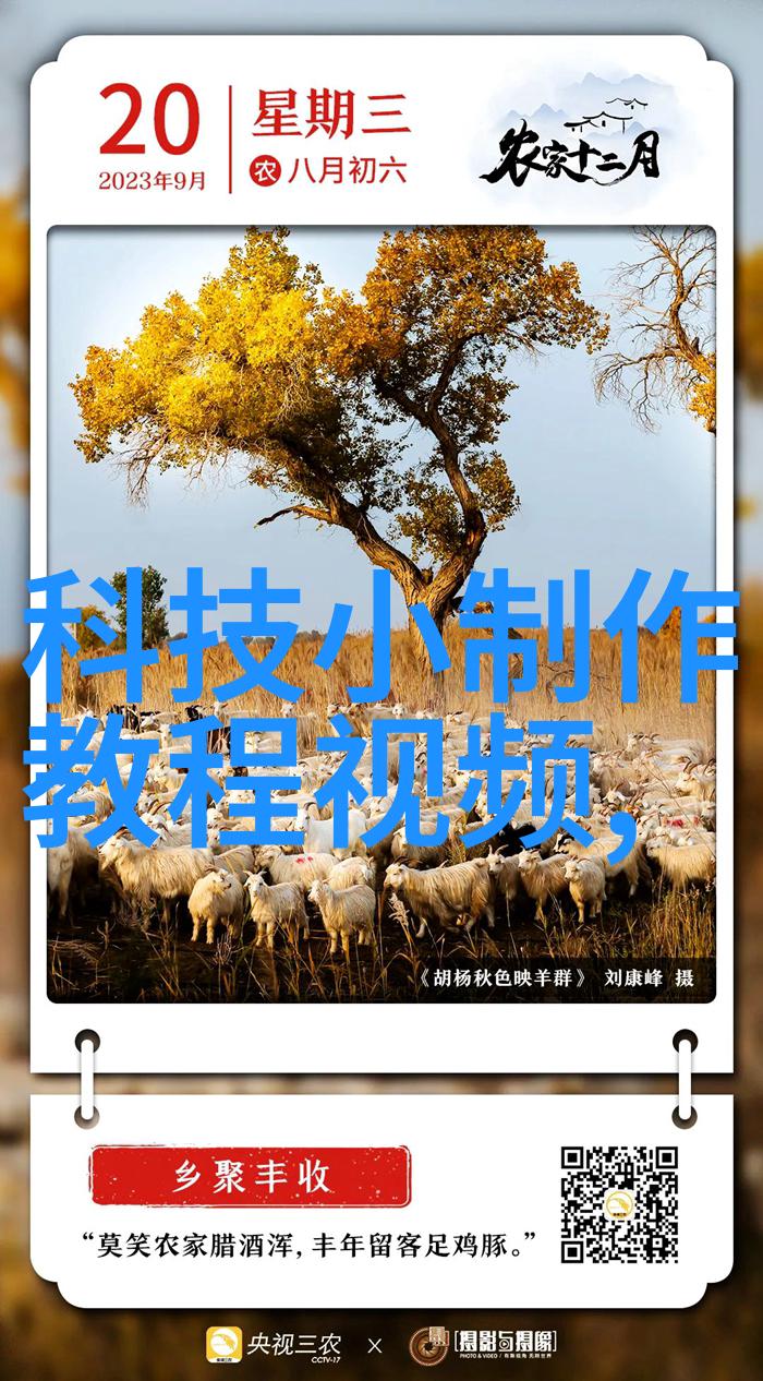 摄影后期技巧提升画面品质与艺术感的秘诀