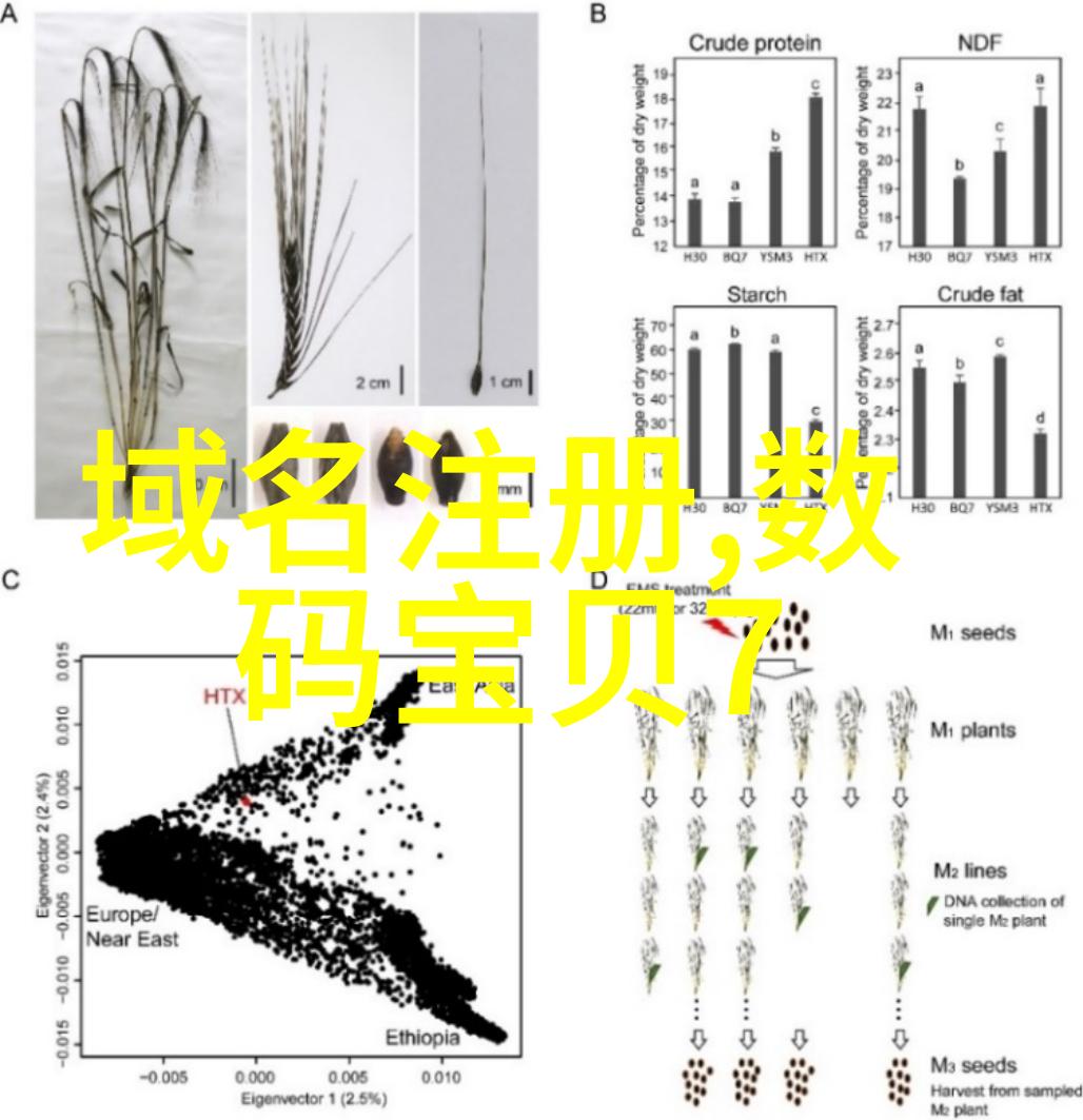 瞬间聚焦中集飞秒智能焊接机器人的诗篇