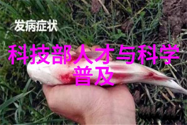 康宁与苹果携手提供折叠屏幕玻璃解决方案如同山脉间的桥梁连接着科技的新篇章