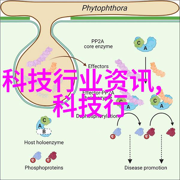 七夕送什么花我应该给女朋友买哪些花呢