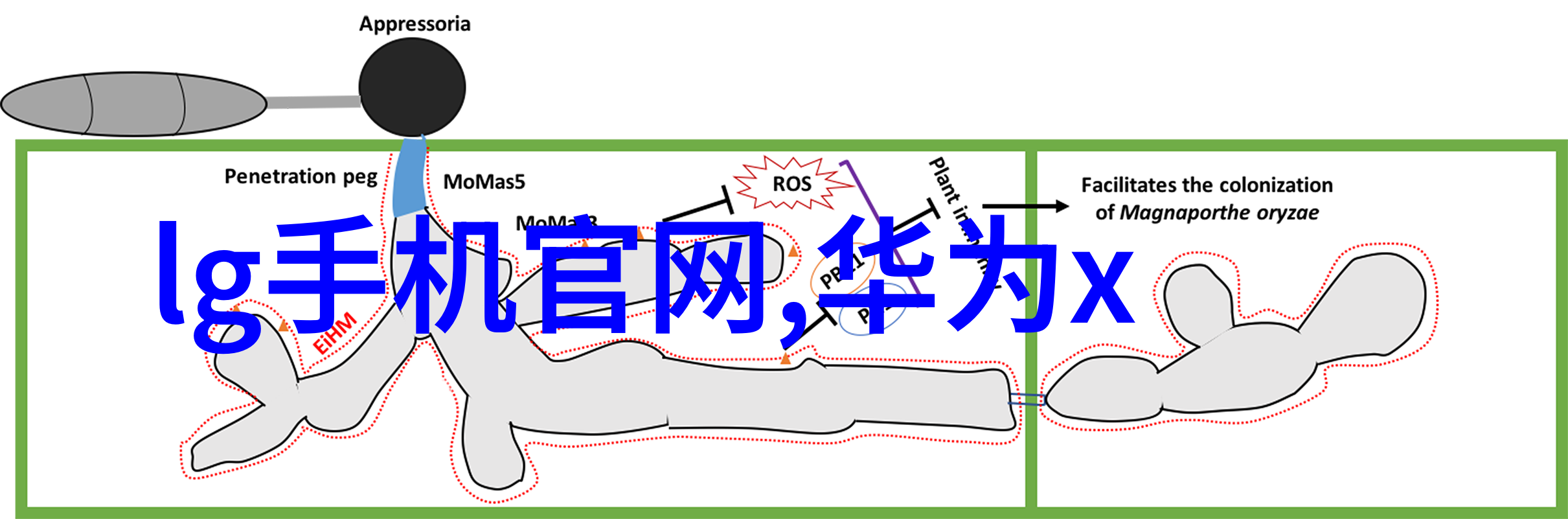 儿子一晚上要了我七次怎么办家庭沟通技巧