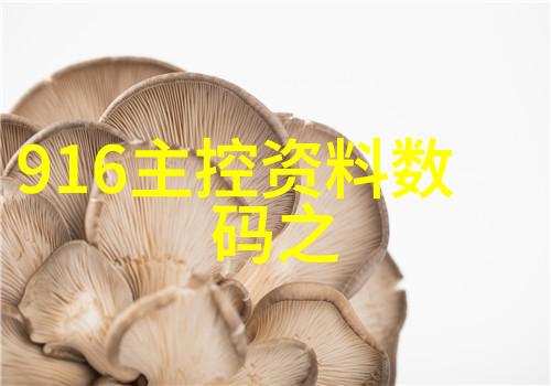 电加热器技术发展及其在现代厨房应用中的创新策略研究