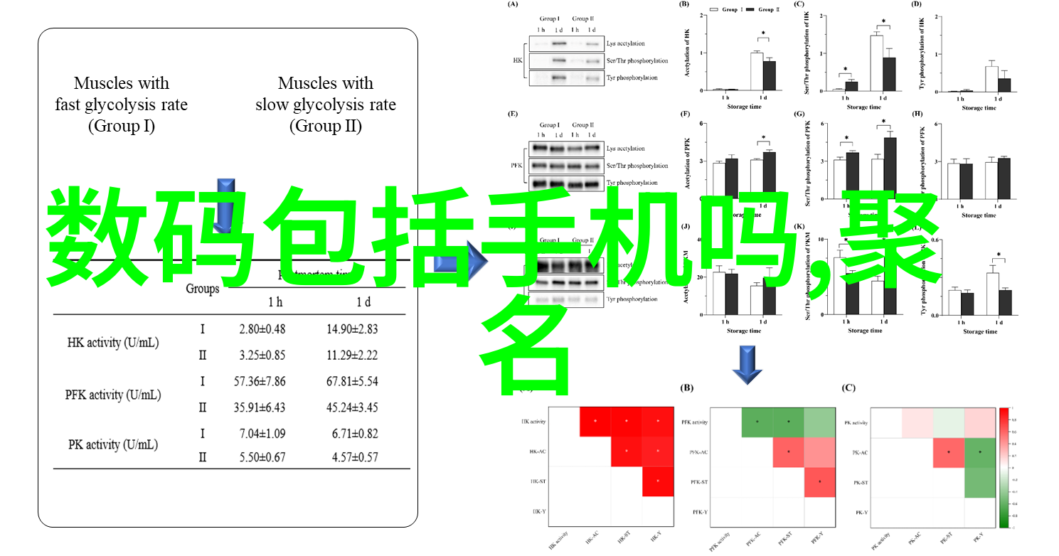 新一代药厂设备上海企业的创新之路