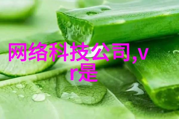 421数字背后的故事与文化意义