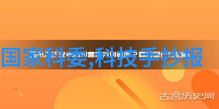 宠物摄影我是如何用镜头捕捉宠物的最美瞬间的