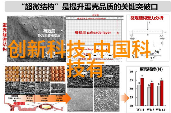 主题我是如何用Poco摄影手机拍出超级棒的照片的