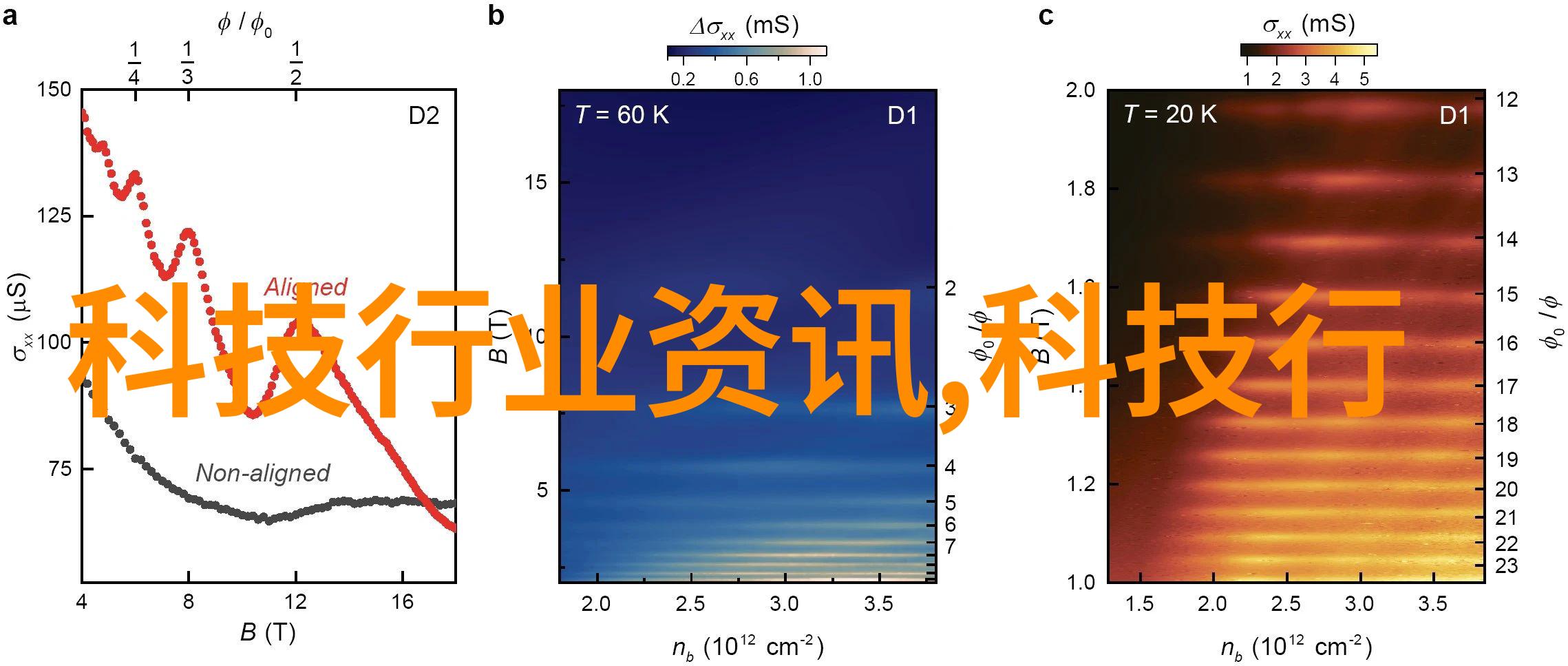 五道口职业技术学院的学术与实践融合之旅