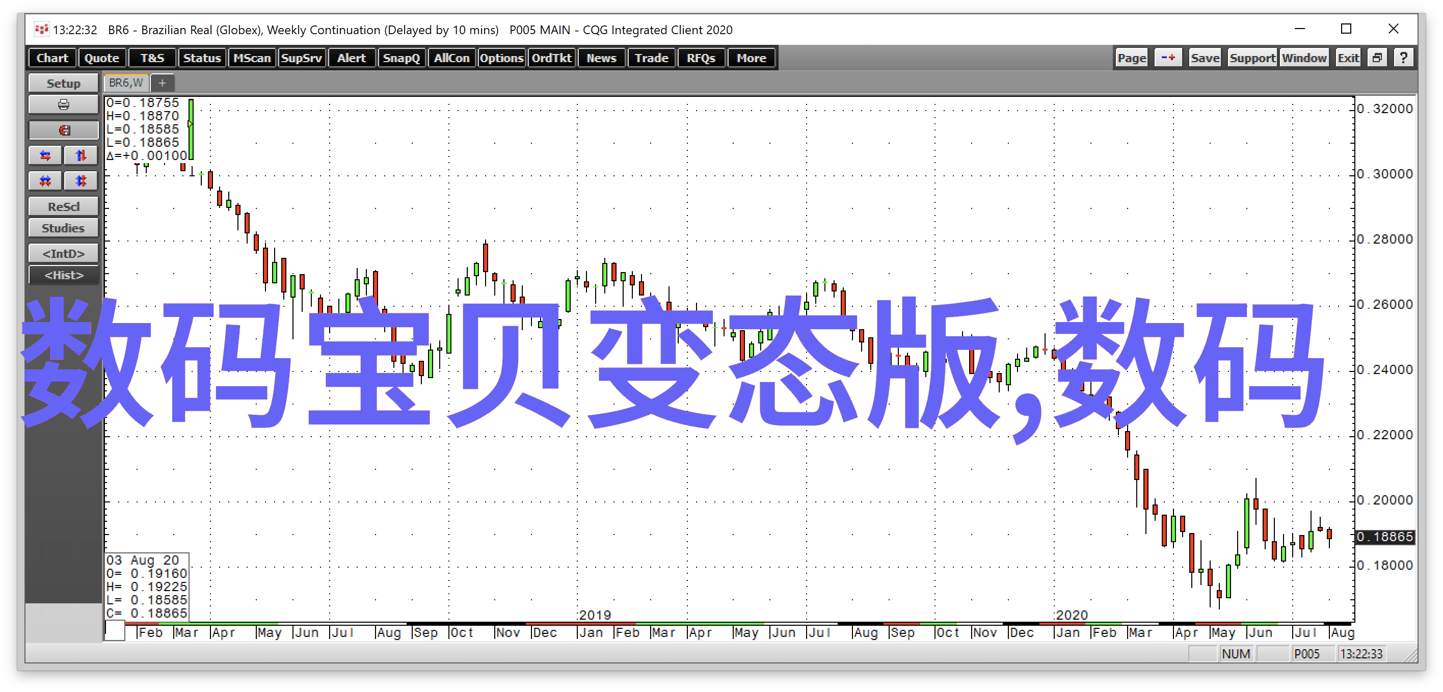 明月藏鹭夜色下的隐秘交响