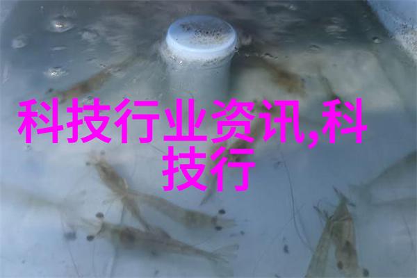 微波炉健康隐患辐射火灾与安全操作的重要性