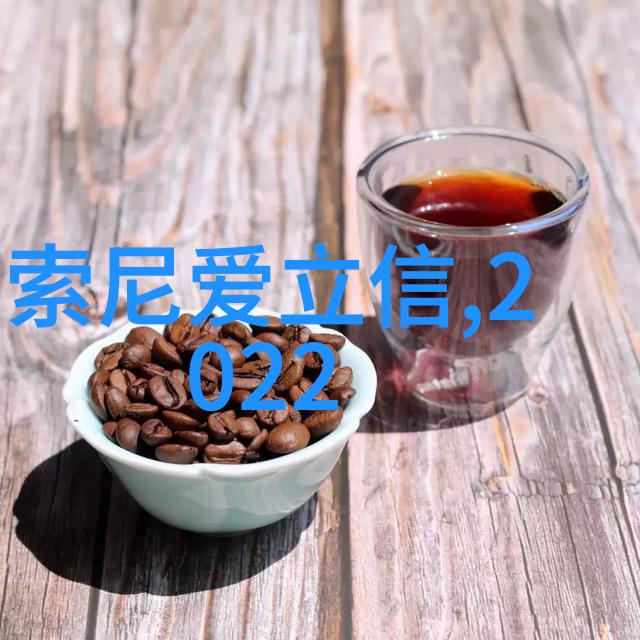 量子计算之路理论研究与实践挑战