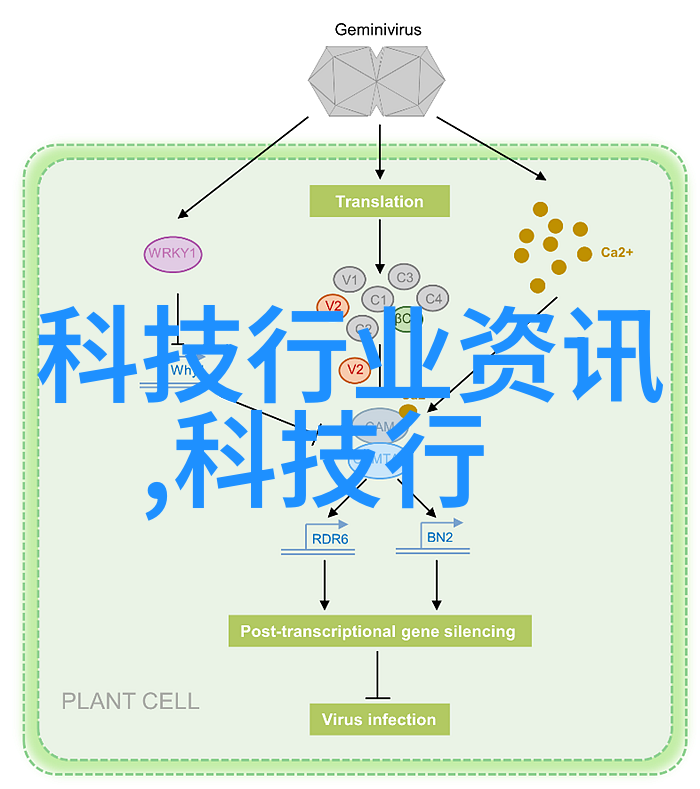 家庭厨房装修效果图我的梦想空间展示