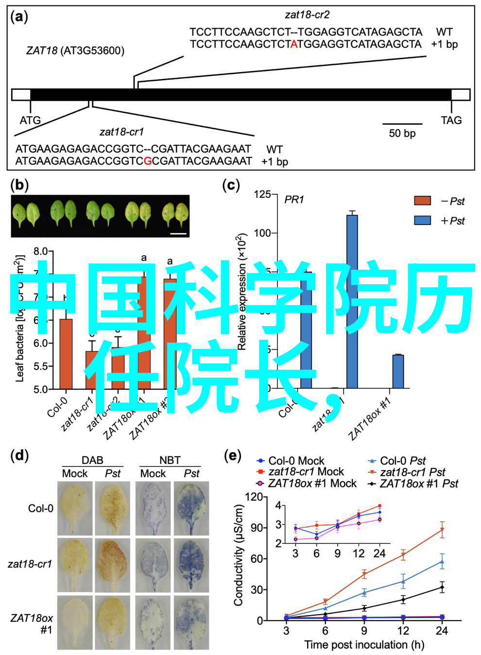 防止结构坍塌的关键地基稳定性的提升策略