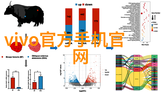 科技奇迹未来世界的智能体与机器人伙伴