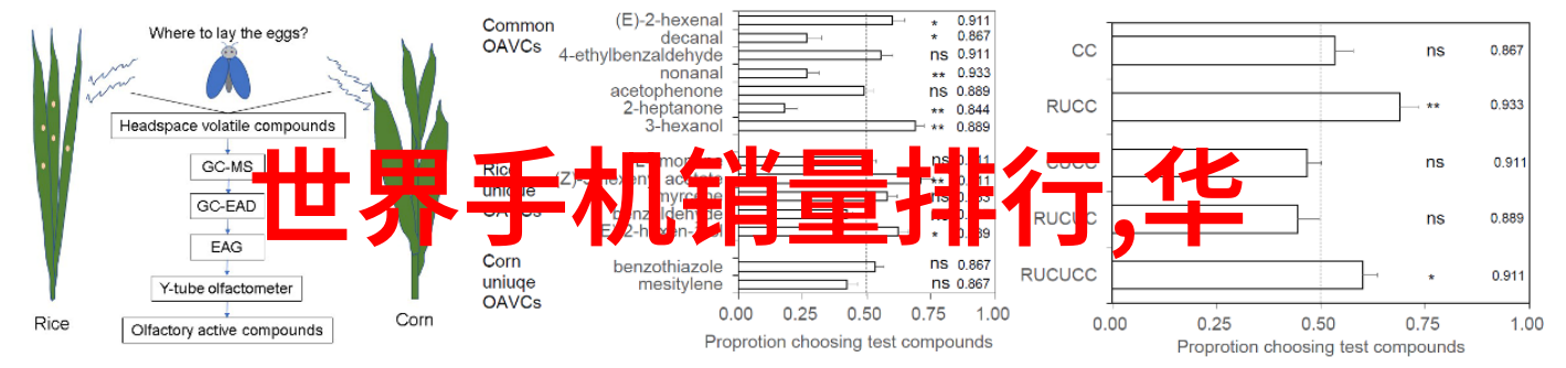 今天晚上让你桶个够的作文-满载温暖夜晚的故事与一杯又一杯的幸福