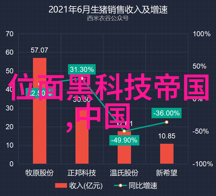 苹果手机13重塑未来轻触即启