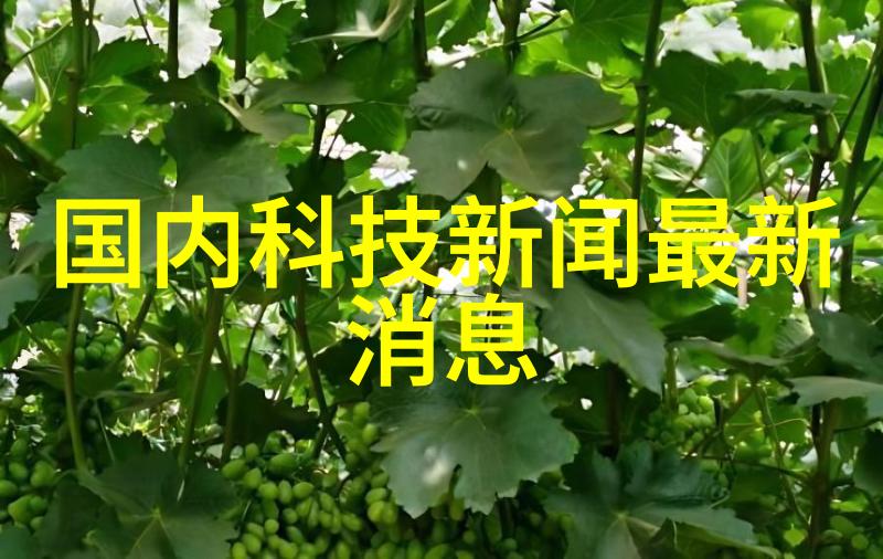 不同类型的生活垃圾可以在哪些情况下使用粉碎机处理呢