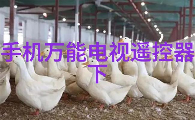 地板油漆施工工艺与机电设备安装相结合提升自然环境下的使用安全性