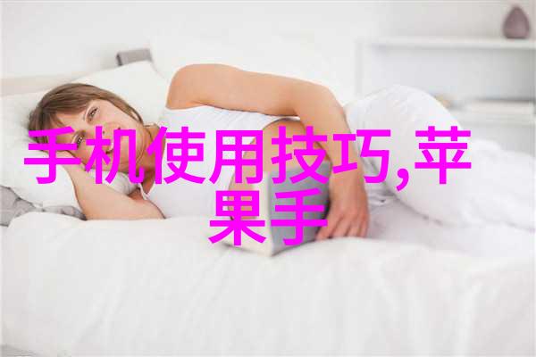 装修设计方案我是如何让我的小窝变得心仪满屋的