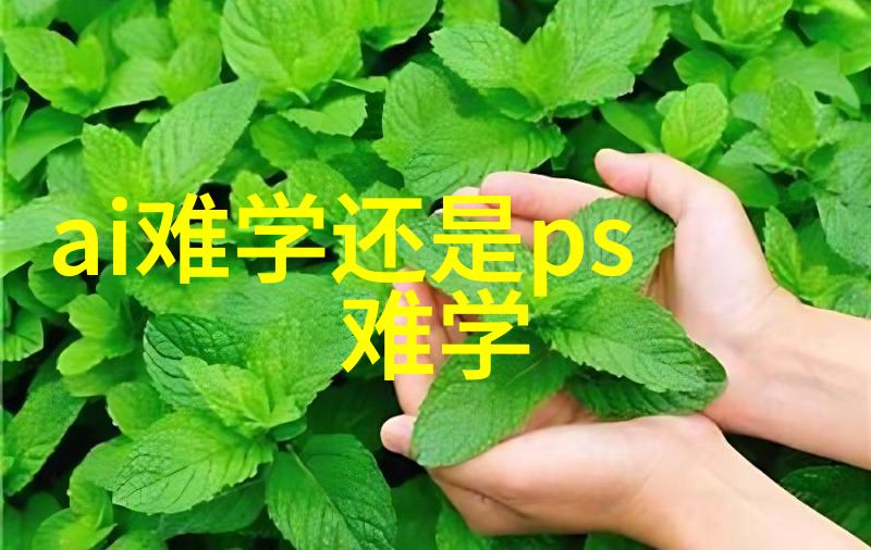 水力发电项目实施的关键水电安装施工方案下载