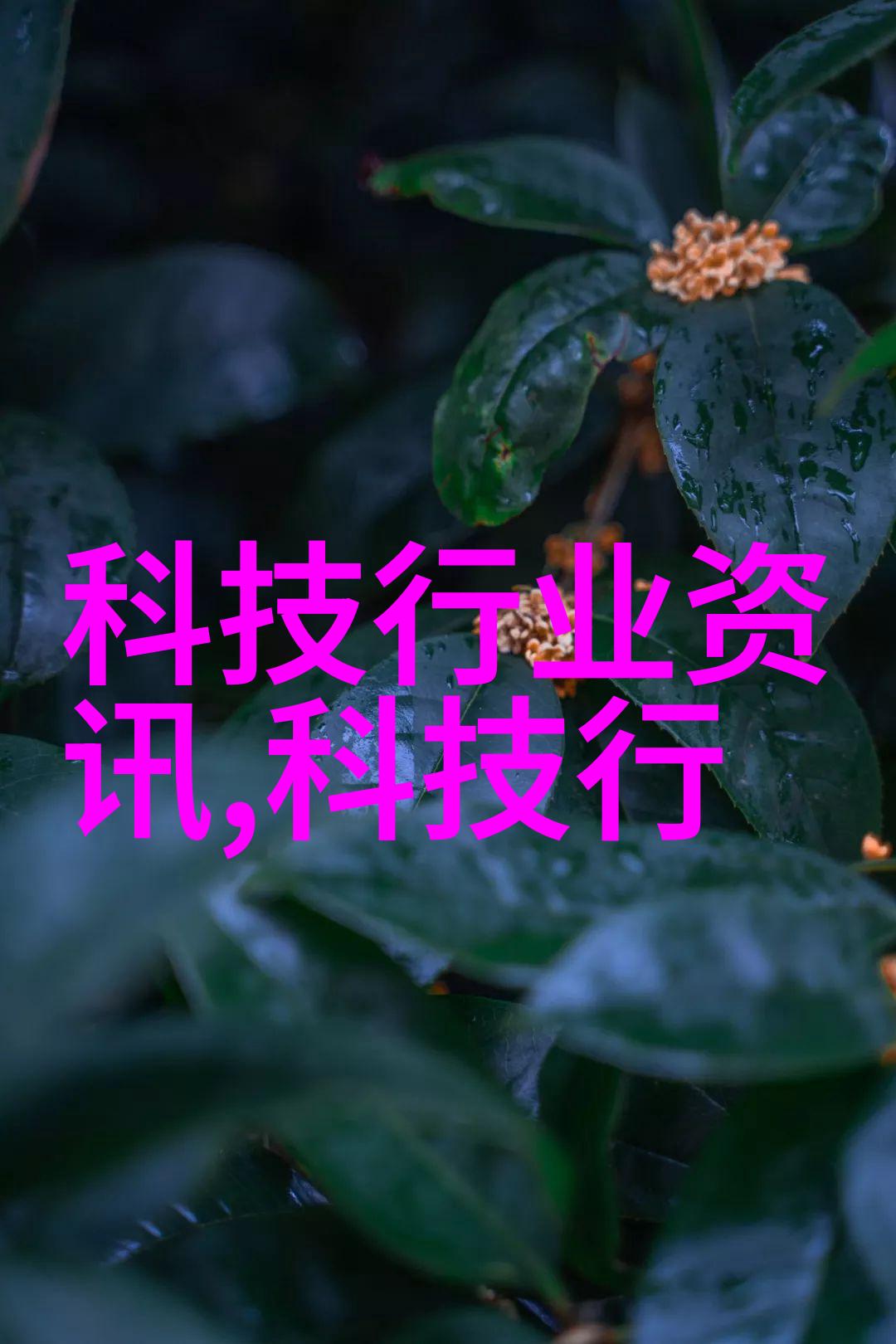 报告编写艺术精湛的格式与范例