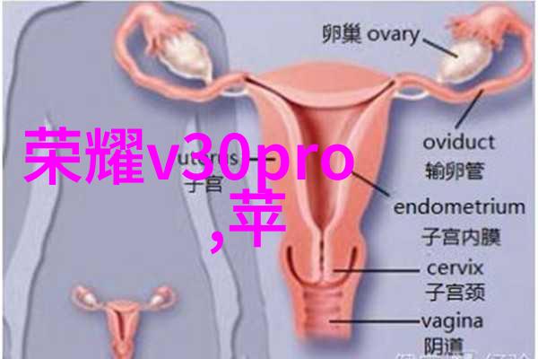 水仙花语文化传统意象与现代解读