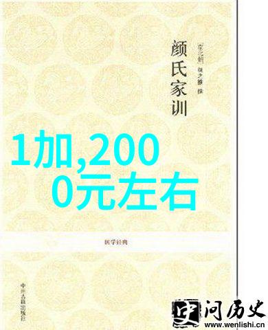 中国最好的芯片领航科技创新之冠