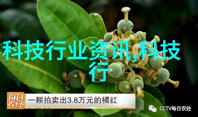 苹果手机13革新与卓越的无缝体验