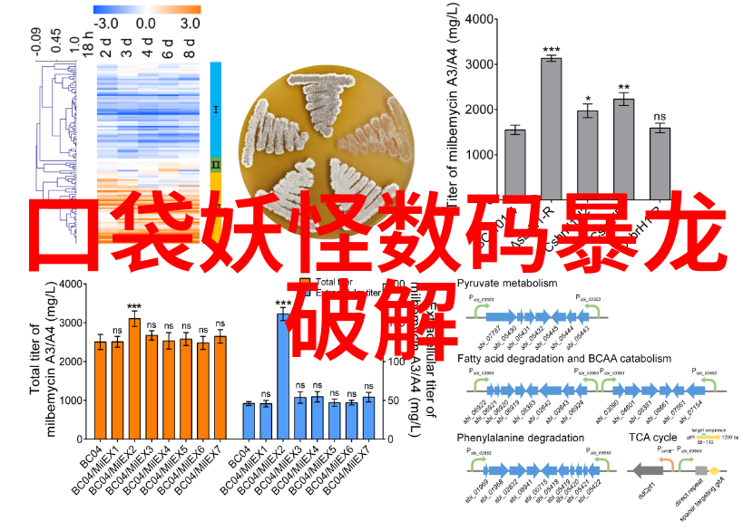 明灯照耀人心长明灯背后的故事与传说