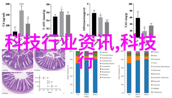 哪款软件具有最佳的动态范围表现